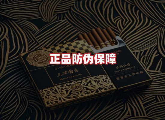 专业团队